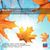 Johann Sebastian Bach (1685-1750): Air und Badinerie, CD