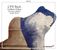 Carl Philipp Emanuel Bach (1714-1788): 30 Gellert-Oden, 2 CDs