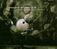 Gustav Holst (1874-1934): The Planets op.32, CD