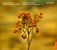 Emre Elivar - Schubert/Schumann, CD