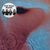 Pink Floyd: Meddle (Remastered), CD