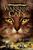 Erin Hunter: Warrior Cats Staffel 03/4. Die Macht der drei. Zeit der Dunkelheit, Buch