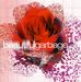 Garbage: Beautifulgarbage, CD