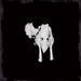 Sigur Ros: Kveikur (LP + 10