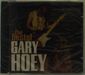 Gary Hoey: Best Of Gary Hoey, CD