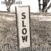 3 Heads: World Was Ours, CD
