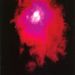 Porcupine Tree: Up The Downstair (180g) (Red Vinyl), 2 LPs