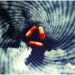 Porcupine Tree: Voyage 34 (180g) (Limited Numbered Edition) (Colored Vinyl), 2 LPs