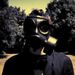 Steven Wilson  (Porcupine Tree): Insurgentes (180g), 2 LPs