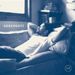 Serengeti: C.A.R., LP