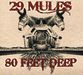 29 Mules: 80 Feet Deep, CD