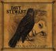 Dave Stewart: The Blackbird Diaries, CD