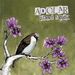 Adolar: Planet Rapidia EP, Single 7