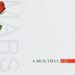 30 Seconds To Mars: A Beautiful Lie +bonus, CD