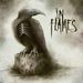 In Flames: Sounds Of A Playground Fading (180g), 2 LPs