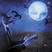 Agonist: Lullabies For The Dormant Mind, CD
