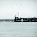 Cloud Nothings: Attack On Memory (180g) (White Vinyl), LP