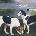 Wolfgang Amadeus Mozart (1756-1791): Sonaten für Violine & Klavier, 2 CDs