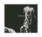 Hedvig Mollestad  (geb. 1982): All Of Them Witches, CD