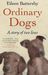 Eileen Battersby: Ordinary Dogs, Buch
