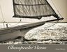 John Werry: Chesapeake Views, Buch