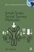Bill Gillham: Small-Scale Social Survey Methods, Buch