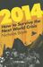 Nicholas Boyle: 2014: How to Survive the Next World Crisis, Buch