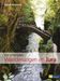 Philipp Bachmann: Die schönsten Wanderungen im Jura, Buch