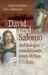 Israel Finkelstein: David und Salomo, Buch