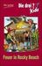 Die drei ??? Kids 23 - Feuer in Rocky Beach (Drei Fragezeichen), Buch