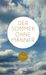 Siri Hustvedt: Der Sommer ohne Männer, Buch