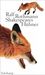 Ralf Rothmann: Shakespeares Hühner, Buch