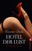 Kerstin Dirks: Hotel der Lust, Buch