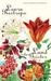 Laura Restrepo: Land der Geister, Buch
