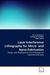 Ainara Rodriguez: Laser Interference Lithography for Micro- and Nano-Fabrication, Buch