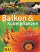 Joachim Mayer: Balkon & Kübelpflanzen, Buch