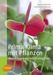 Marc Grollimund; Isabelle Hannebicque: Prima Klima mit Pflanzen, Buch