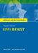 Thomas Brand: Textanalyse und Interpretation zu Theodor Fontane. Effi Briest, Buch