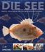 Thomas Ruhl: Die See, Buch