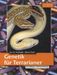 Jens R Poschadel: Genetik für Terrarianer, Buch