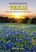 Horst Schmidt-Brümmer: Texas, Buch