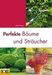 David Squire: Perfekte Bäume und Sträucher, Buch