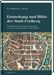 Yves Hoffmann: Entstehung und Blüte der Stadt Freiberg, Buch