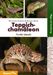 Wolfgang Schmidt: Teppichchamäleon, Buch