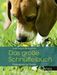 Viviane Theby: Das große Schnüffelbuch, Buch