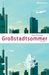 Jan Siefen: Großstadtsommer, Buch