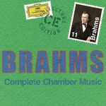 Johannes Brahms (1833-1897): Kammermusik (Gesamt-Aufnahme), 11 CDs