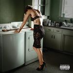 Skylar Grey: Dont Look Down, CD