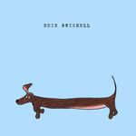 Edie Brickell: Edie Brickell, CD