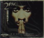 2Pac: R U Still Down? (Remember Me), 2 CDs